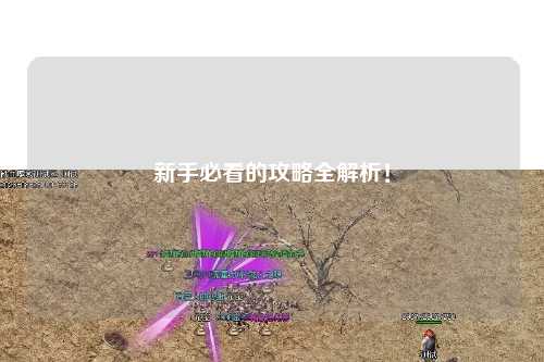 新手必看的攻略全解析！