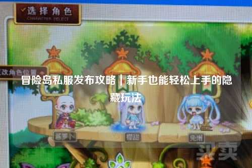 冒险岛私服发布攻略|新手也能轻松上手的隐藏玩法