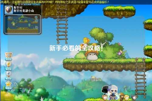 新手必看的全攻略!