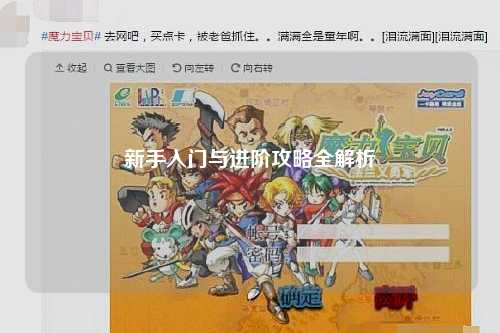 新手入门与进阶攻略全解析