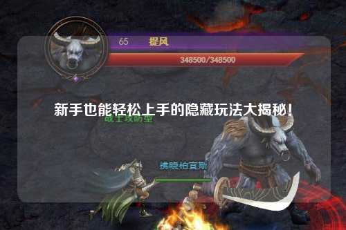 新手也能轻松上手的隐藏玩法大揭秘！