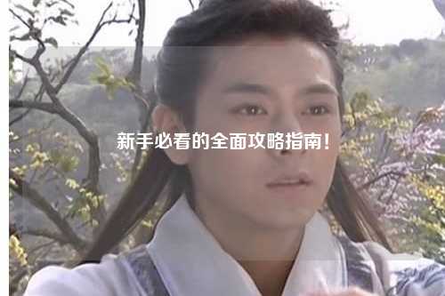 新手必看的全面攻略指南!