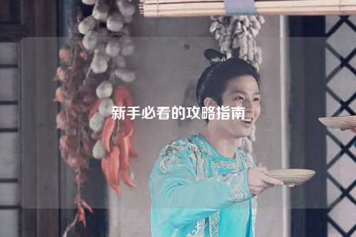 新手必看的攻略指南