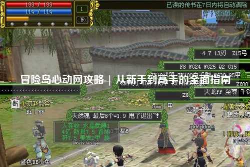 冒险岛心动网攻略 | 从新手到高手的全面指南