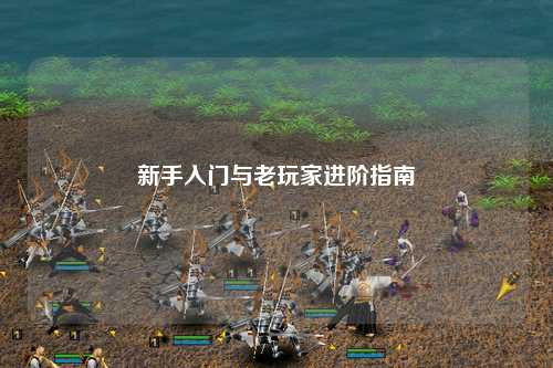 新手入门与老玩家进阶指南