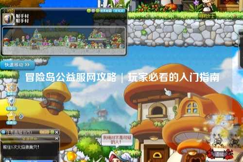 冒险岛公益服网攻略 | 玩家必看的入门指南