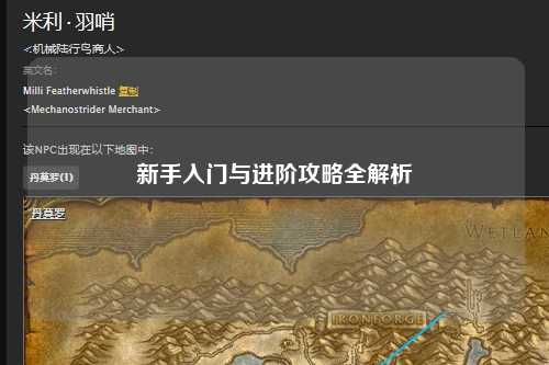 新手入门与进阶攻略全解析
