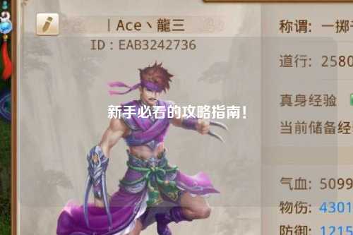 新手必看的攻略指南！