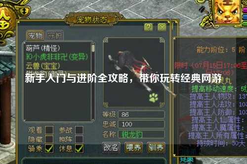 新手入门与进阶全攻略，带你玩转经典网游