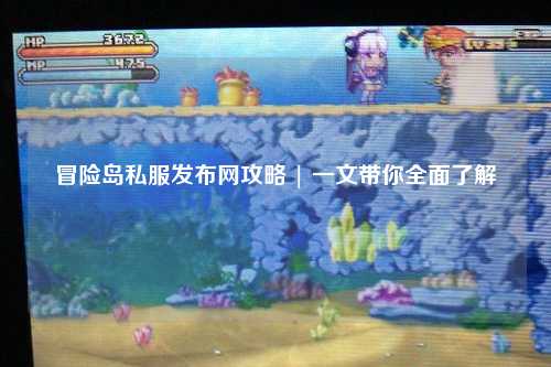 冒险岛私服发布网攻略 | 一文带你全面了解