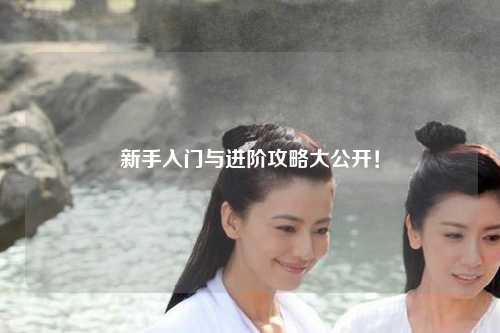 新手入门与进阶攻略大公开！