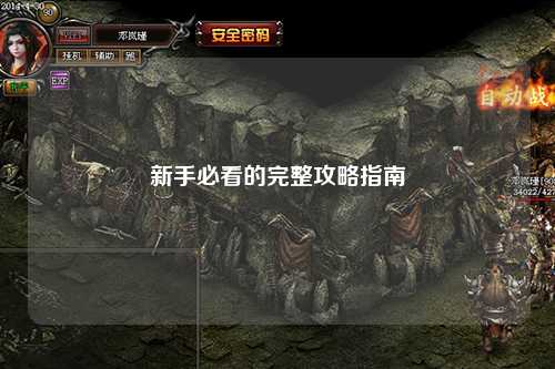 新手必看的完整攻略指南