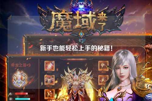 新手也能轻松上手的秘籍！