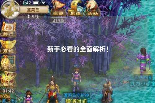 新手必看的全面解析！