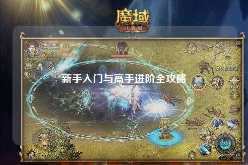新手入门与高手进阶全攻略
