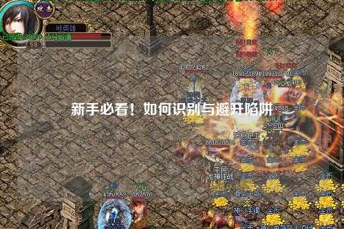 新手必看！如何识别与避开陷阱