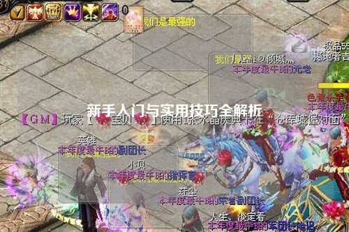 新手入门与实用技巧全解析