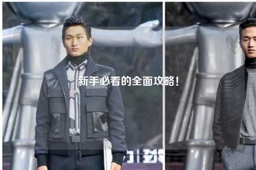 新手必看的全面攻略！