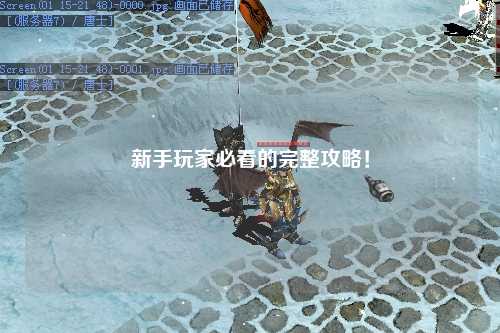 新手玩家必看的完整攻略!