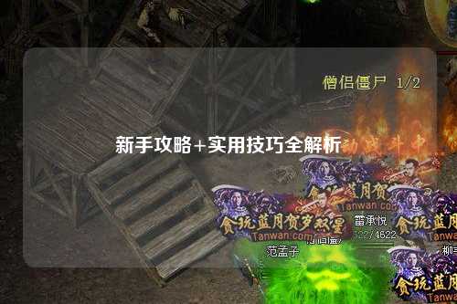 新手攻略+实用技巧全解析