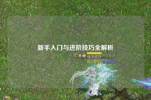 新手入门与进阶技巧全解析