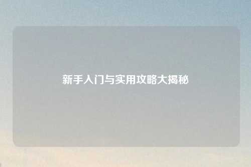 新手入门与实用攻略大揭秘