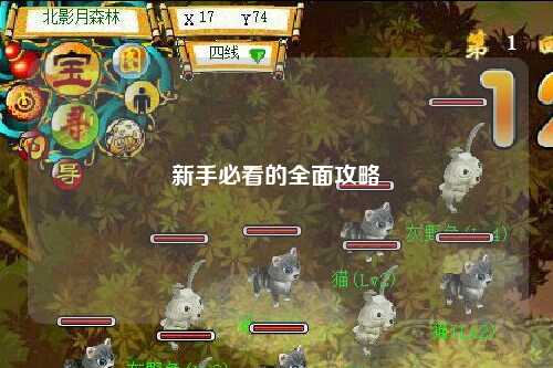 新手必看的全面攻略