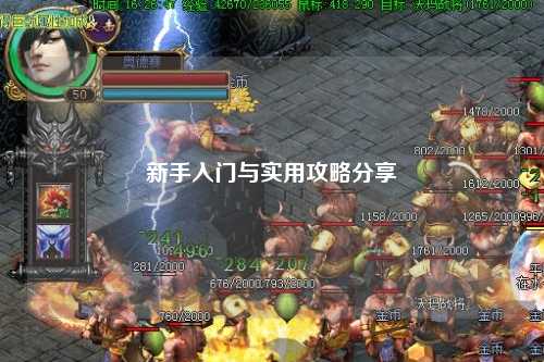 新手入门与实用攻略分享