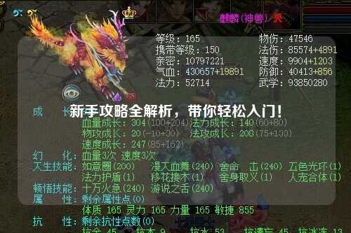 新手攻略全解析,带你轻松入门!