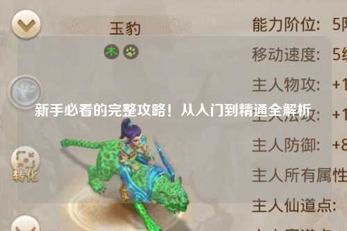 新手必看的完整攻略!从入门到精通全解析