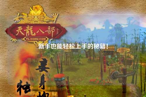 新手也能轻松上手的秘籍！