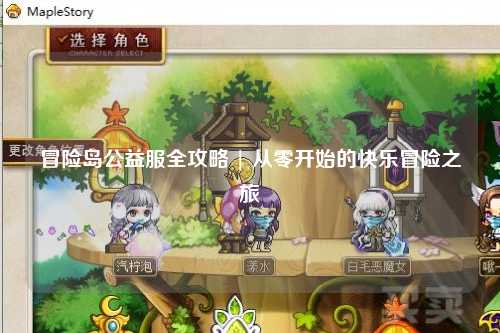 冒险岛公益服全攻略 | 从零开始的快乐冒险之旅