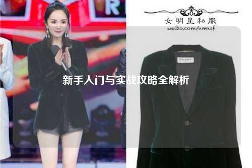新手入门与实战攻略全解析