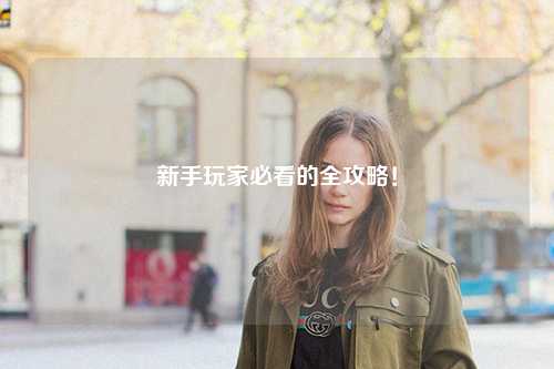 新手玩家必看的全攻略！